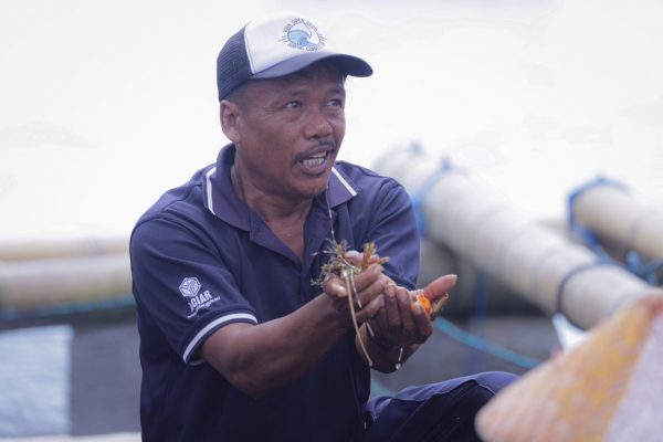 Sekali Panen Hasilkan Rp250 Juta, Menteri Trenggono Takjub dengan Penghasilan Pembudidaya di Telong Elong 1 Sekali Panen Hasilkan Rp250 Juta, Menteri Trenggono Takjub dengan Penghasilan Pembudidaya di Telong Elong 2