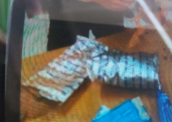 Ketelitian Petugas Gagalkan Penyelundupan Ganja ke Rutan Kelas 1 Depok 2 Ketelitian Petugas Gagalkan Penyelundupan Ganja ke Rutan Kelas 1 Depok 3