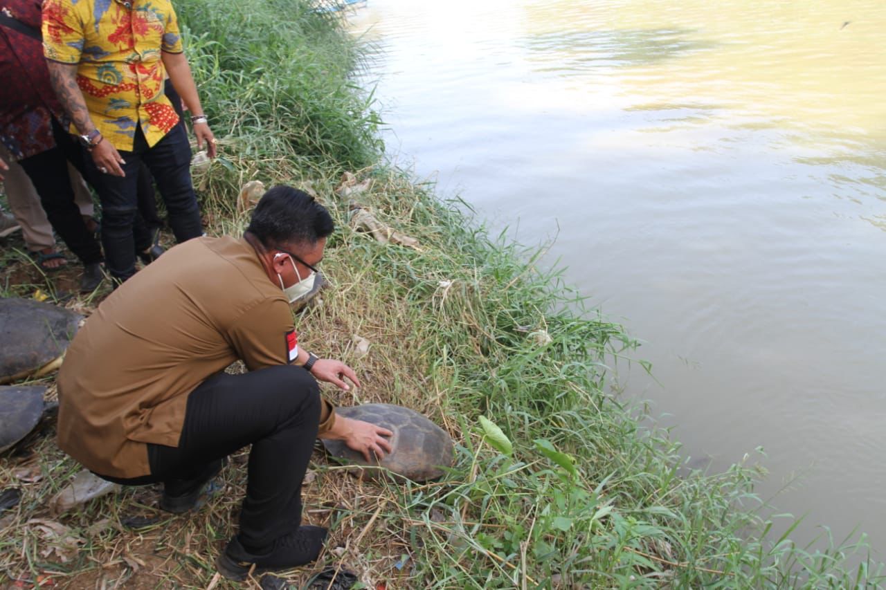 Hari Sungai Sedunia, Wagub Banten Lepasliarkan Kura-kura ke Cisadane