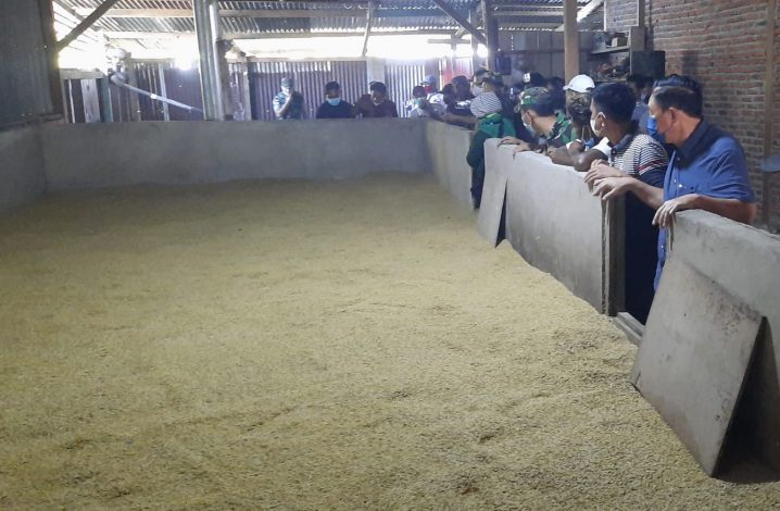 Bikin Alat Pertanian, Anggota Korem 174/ATW Bantu Atasi Kesulitan Petani di Merauke 1 Bikin Alat Pertanian, Anggota Korem 174/ATW Bantu Atasi Kesulitan Petani di Merauke 2