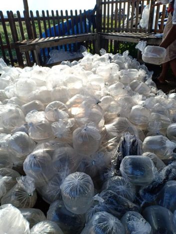 KKP Genjot Dukungan Taktis Bagi Pembudidaya Udang Skala Kecil Hadapi Dampak Pandemi Covid-19 1 KKP Genjot Dukungan Taktis Bagi Pembudidaya Udang Skala Kecil Hadapi Dampak Pandemi Covid-19 2