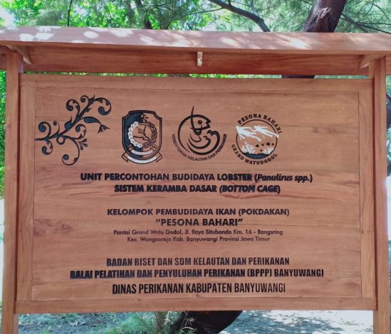 Penyuluh Perikanan, Lobster dan Pasar Global 1 Penyuluh Perikanan, Lobster dan Pasar Global 2