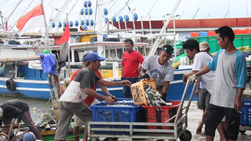 Pacu PDB Sektor Perikanan, KKP Optimalkan Pelayanan di Pelabuhan Perikanan 2