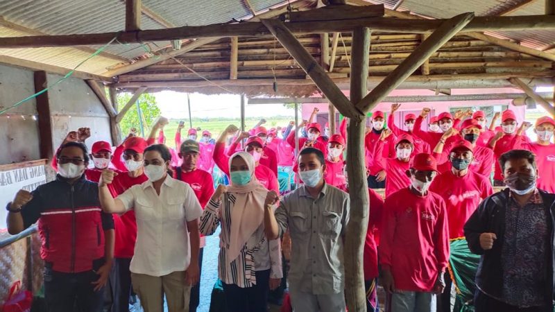 KKP Latih Petambak Udang dan Bandeng di Lahan yang Sempat Terhenti Beroperasi